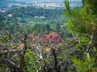 Abstract Rustrel canyon ocher cliffs landscape. Provencal Colorado near Roussillon, Southern France.
