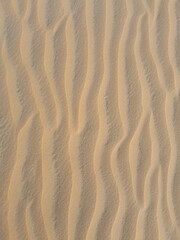 Dune sand texture
