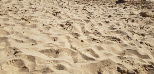 Beach sand texture with sunlight