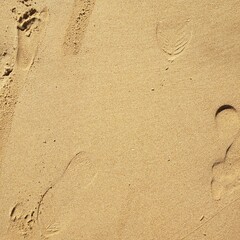Beach sand texture with sunlight