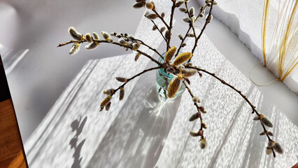 A bouquet made of willow branches on a table near the window with curtains and daylight sun. The...
