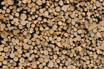 heap of wooden logs background