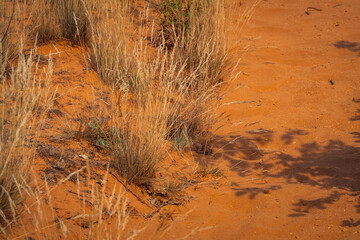 Abstract Rustrel canyon ocher cliffs landscape. Provencal Colorado near Roussillon, Southern France.