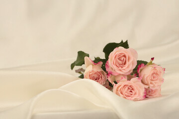 Pink rose flower bouquet on silk fabric beige background.