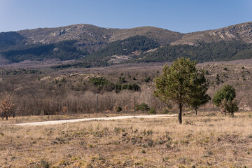 landscape with mountains and sky and trees, Spain