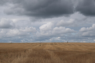The road goes to the horizon through the field 