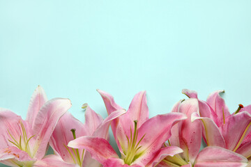 Obraz na płótnie Canvas Beautiful lily flowers on blue background