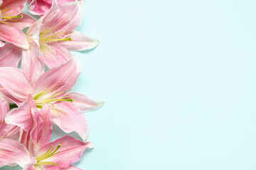 Beautiful lily flowers on blue background