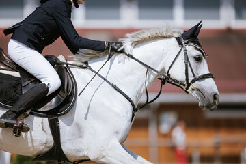 Photo of a woman riding a white horse