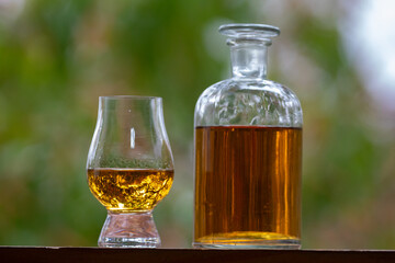 Single malt scotch whisky in selective focus and minimalistic photo. Space for text