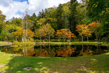Obraz premium 福原山荘の紅葉（北海道河東郡鹿追町北瓜幕）