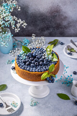 Sweet creamy blueberry cheesecake with fresh blueberries and whipped cream. French cuisine