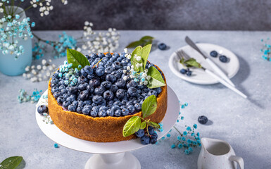 Sweet creamy blueberry cheesecake with fresh blueberries and whipped cream. French cuisine