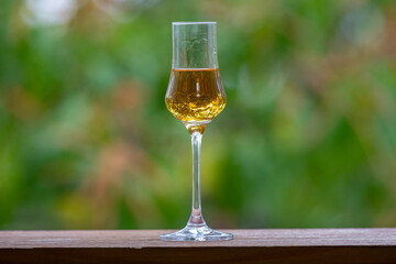 Single malt scotch whisky in selective focus and minimalistic photo. Space for text