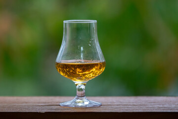 Single malt scotch whisky in selective focus and minimalistic photo. Space for text