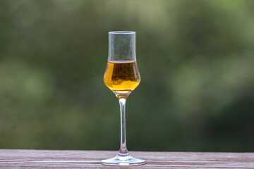 Single malt scotch whisky in selective focus and minimalistic photo. Space for text