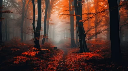 Crédence de cuisine en verre imprimé Forêt des fées Autumn magical forest background