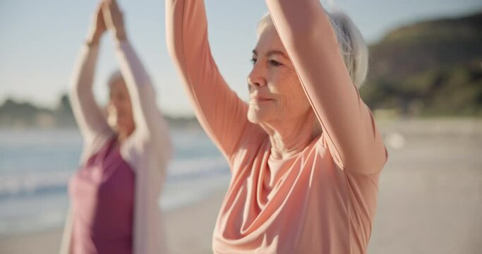 Yoga, meditation and senior women, stretching and fitness on beach for wellness, exercise and pilates training. Zen, friends and old people for muscle health, mindfulness and relax in nature and sea