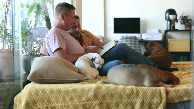couple of gay men reading at home relaxed with their puppies on the sofa