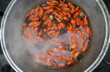 Red fresh appetizing river crayfish are boiled in a cauldron is steam. crayfish cooking for beer