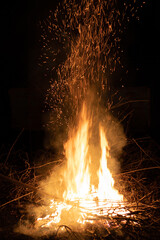 A stream of sparks from a fire. The background is black