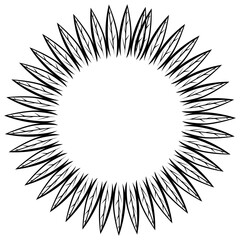 black and white flower