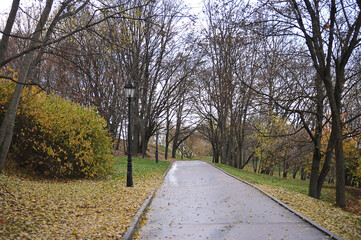 autumn landscape - walking path in kolomenskoye