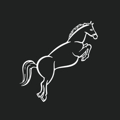 Horse Icon, Horse Jumping, Wild Horse, Horse Logo, Wild West Horse, Hand Drawn Horse, Horse Illustration, Pony Illustration, Pony Icon, Vector Illustration