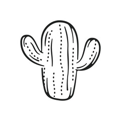 Cactus Icon, Desert Cactus, Hand Drawn Cactus, Cactus Succulent, Succulent Icon, Cactus Vector, Vector Illustration Background