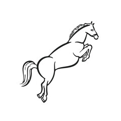 Horse Icon, Horse Jumping, Wild Horse, Horse Logo, Wild West Horse, Hand Drawn Horse, Horse Illustration, Pony Illustration, Pony Icon, Vector Illustration