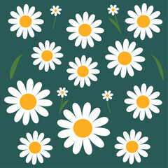 Various White Daises Cartoon Illustration Set: Exploring Spring Vibes through Diverse Hand-Drawn Elements, Seamless Patterns, and White Camomiles.