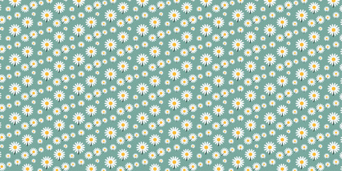 Explore the Spring Set Collection with a Variety of White Daises Cartoon Illustrations, Including Seamless Patterns and Hand-Drawn White Camomiles Elements.