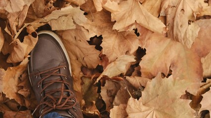 A Person in brown shoes walks through the autumn forest.