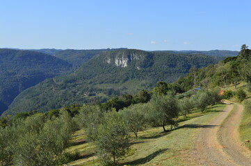Fototapeta premium Vista do campo com estrada de terra