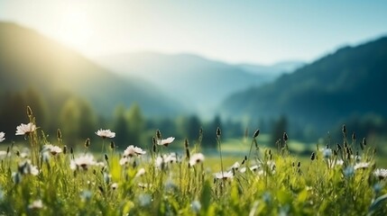 Obraz premium copy space background Morning Meadow concept 