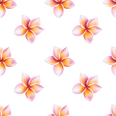 Watercolor seamless pattern with realistic tropical illustration of plumeria flowers with leaves isolated on white background. Beautiful botanical hand painted frangipani clip art. For des