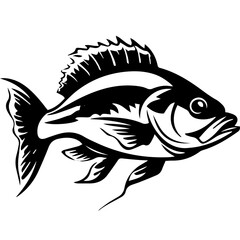 silhouette fish on a white background, vector illustration