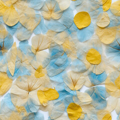 Blue and Yellow Pressed Flower Seamless Patterns