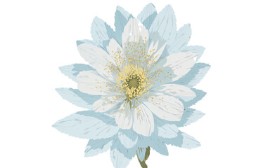 Obraz premium Watercolor flowers on a white background without shadows for illustration.