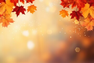 Naklejka na ściany i meble Radiant Leaves: Web Banner Design for Autumn and Year's End 