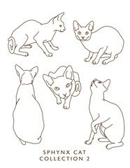 Sphinx Cat Illustrations Outlines! Collection 2