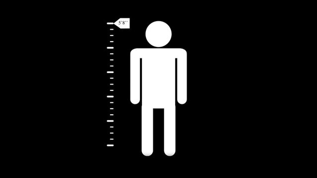 Measuring height body icon, height test concept animation background, k1_658