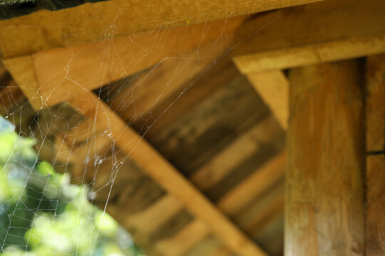 Cobweb on wooden building outdoors, closeup. Space for text