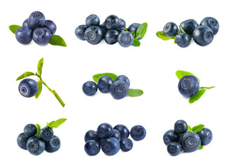 Set with tasty fresh bilberries and green leaves isolated on white