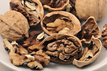 Walnuts on white plate, Walnuts kernels and shells background