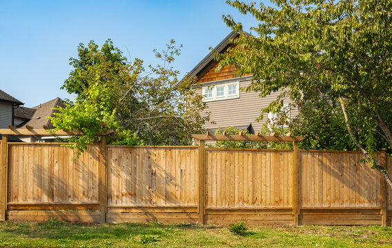 Nice new wooden fence around house. Wooden fence with green lawn in a sunny summer day. Street photo