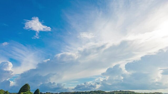夏の空と雲