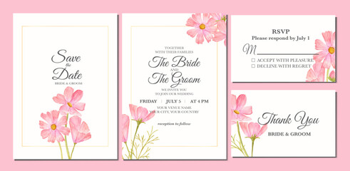 Fototapeta na wymiar Manual painted of pink cosmos flower watercolor as wedding invitation 