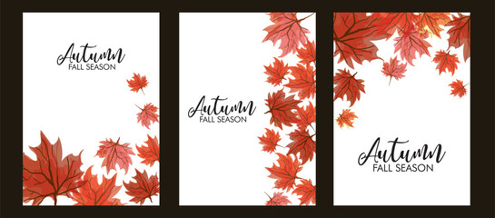Set of autumn frame banner with falling maple leaves. Autumn sale background layout decorate with leaves of autumn for shopping sale or banner, promo poster, frame leaflet or web. Vector illustration.