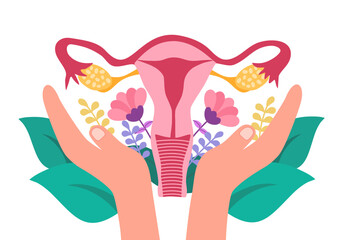 Hands support female reproductive system womb and uterus. Care of female health. Feminine menopause gynecology.
